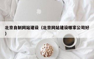 潜江北京自制网站建设（北京网站建设哪家公司好）